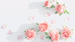 芳菲三月天·礼赞妇女节 | 致敬不被定义的“她”